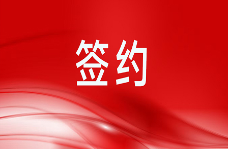 5.63億元智算項目服務合同！助力客戶構建高效智算集群